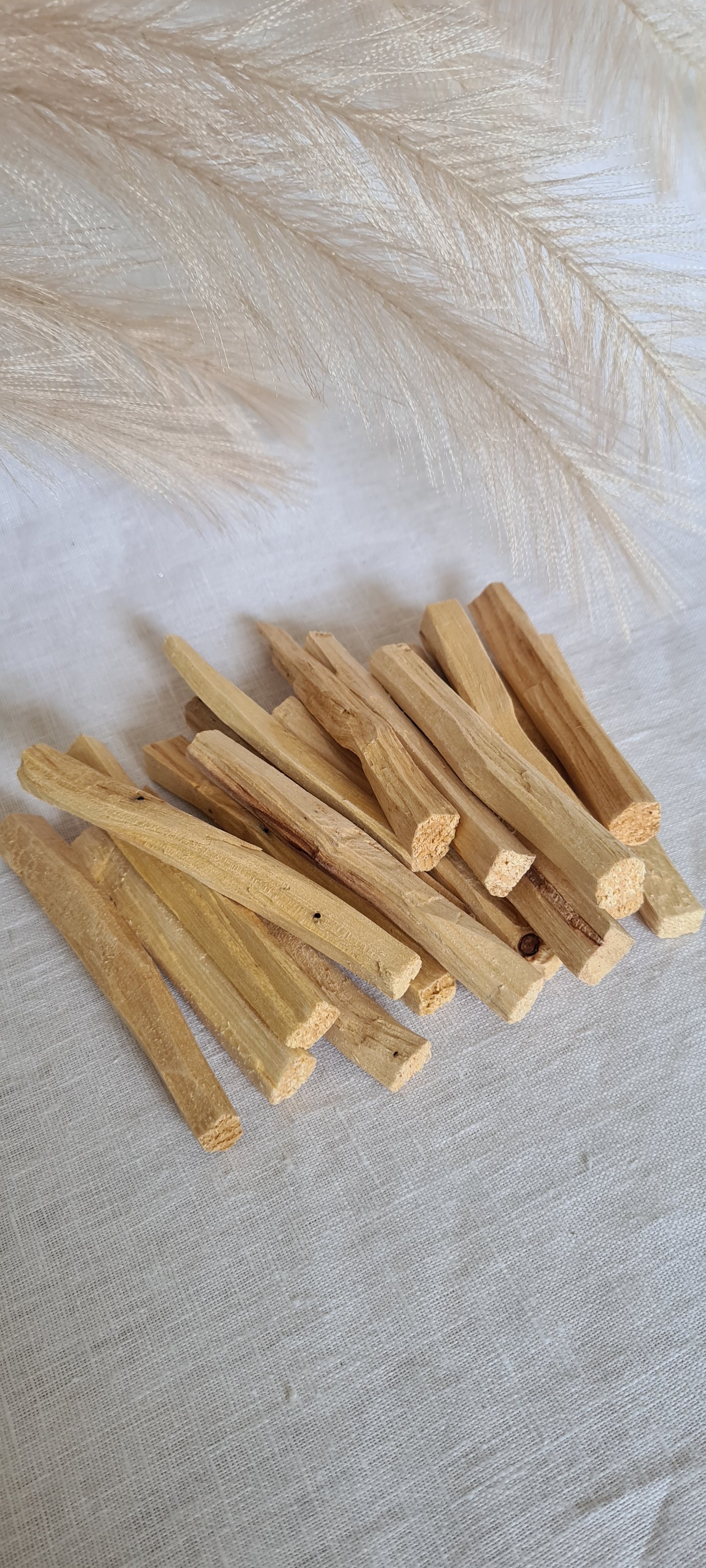 Palo Santo stick