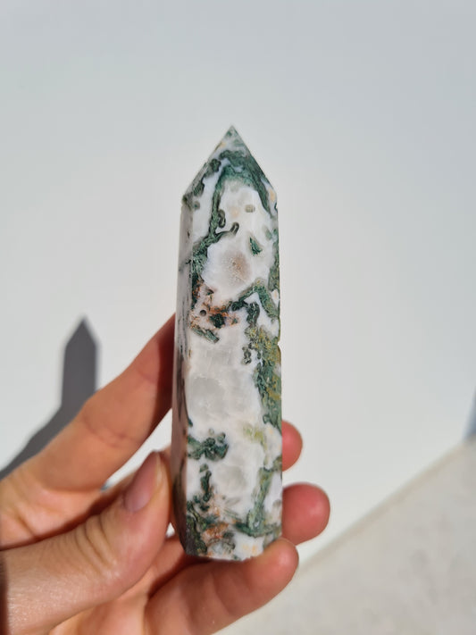 Moss Agate Point 06