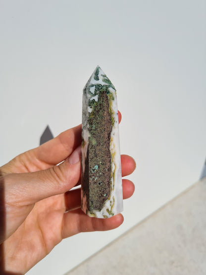 Moss Agate Point 06