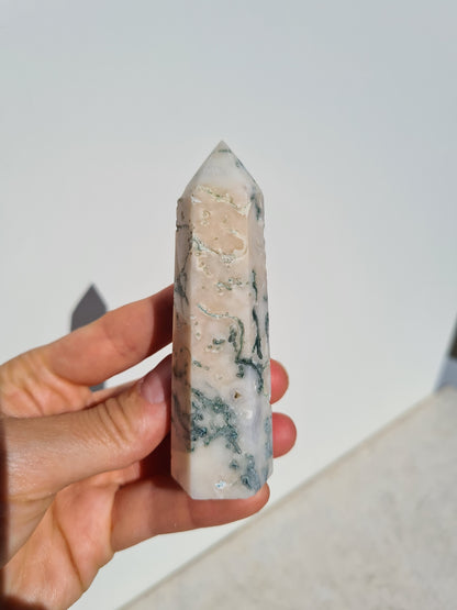 Moss Agate Point 05