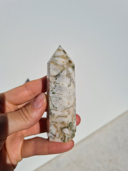 Moss Agate Point 01
